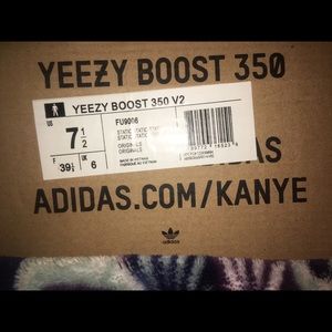 Yeezy boost 350 v2